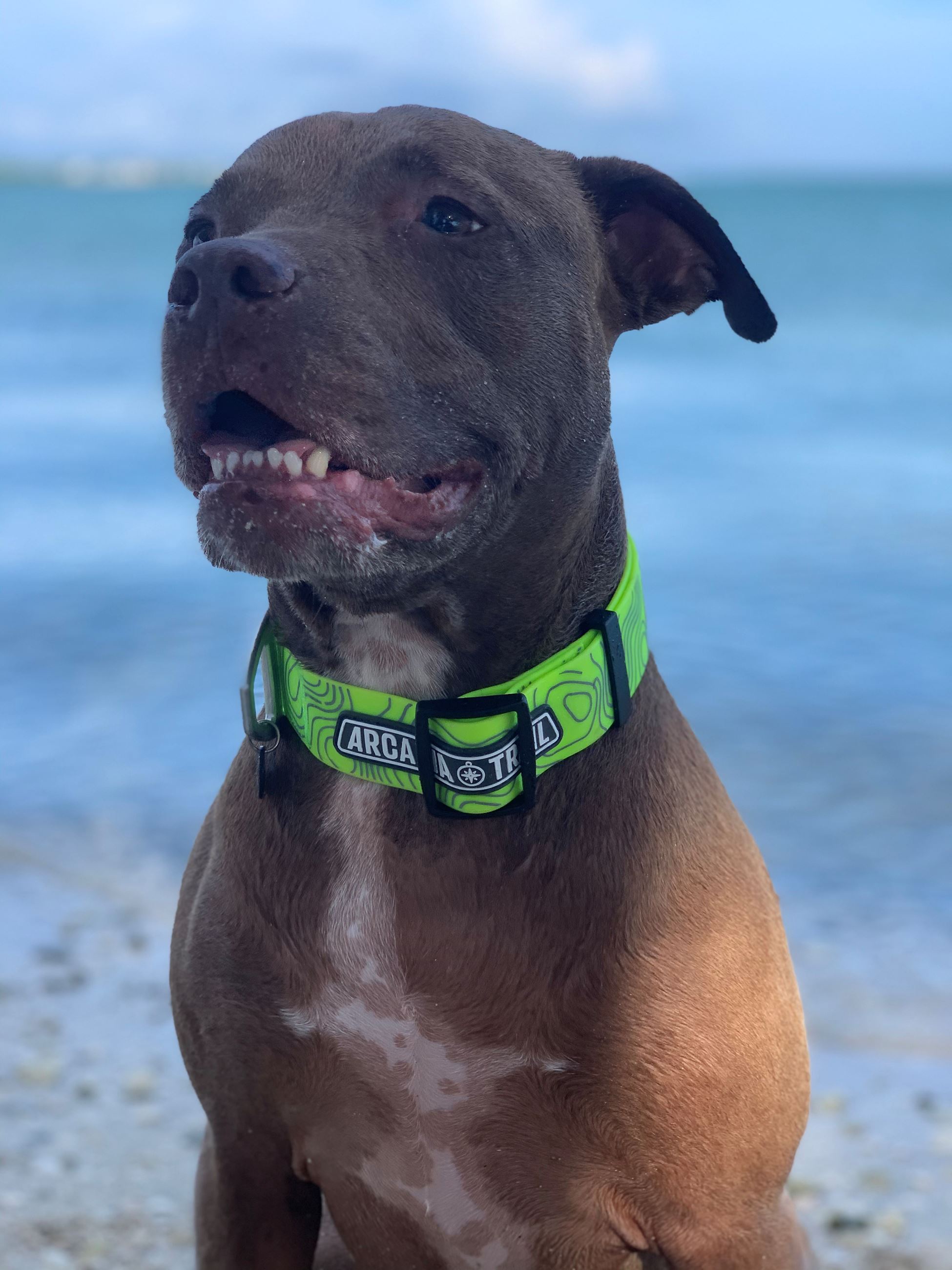 titan from christy nov 2020