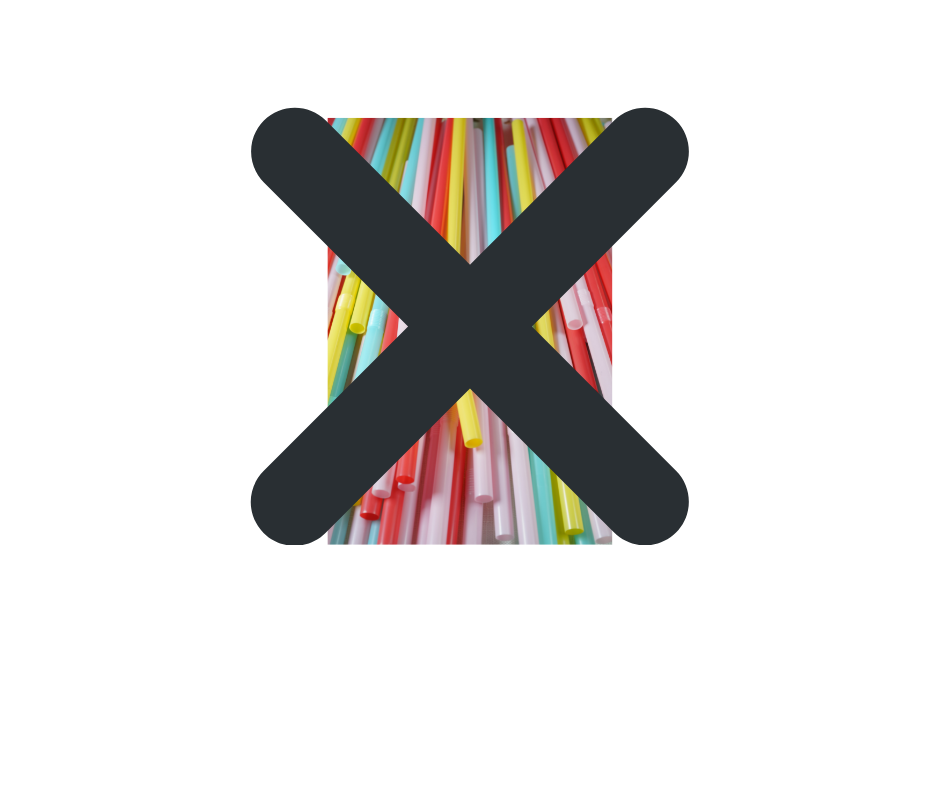 Plastic Straws NO