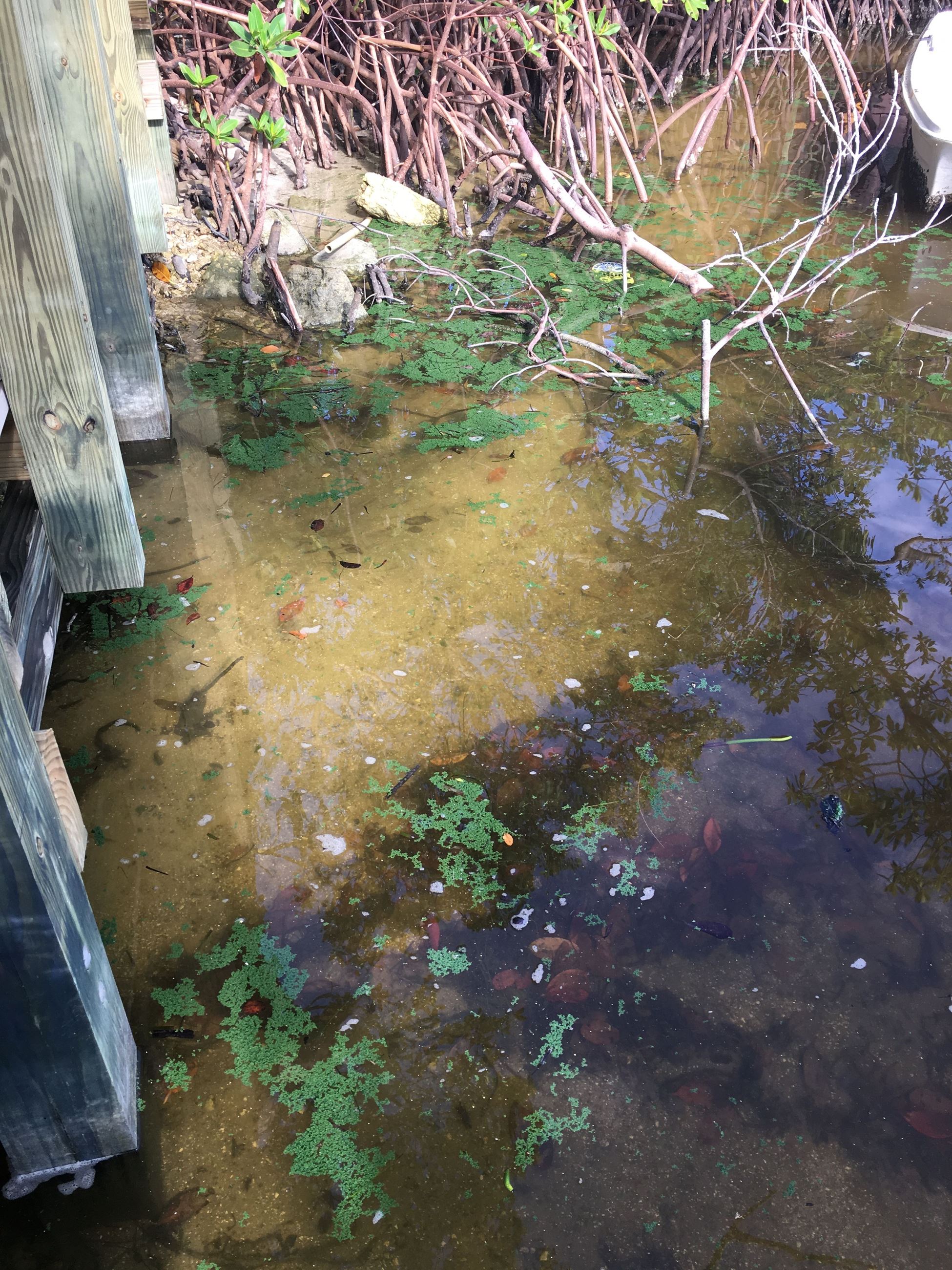 Photo Jul 13 9 20 20 AM - Copy