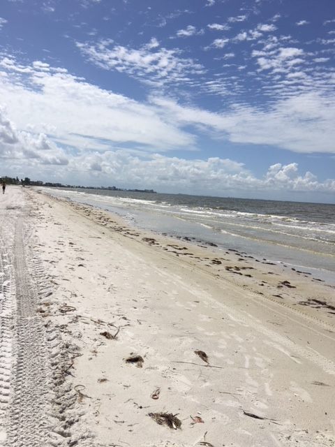 38204339_2147663745509391_4515512311871438848_n