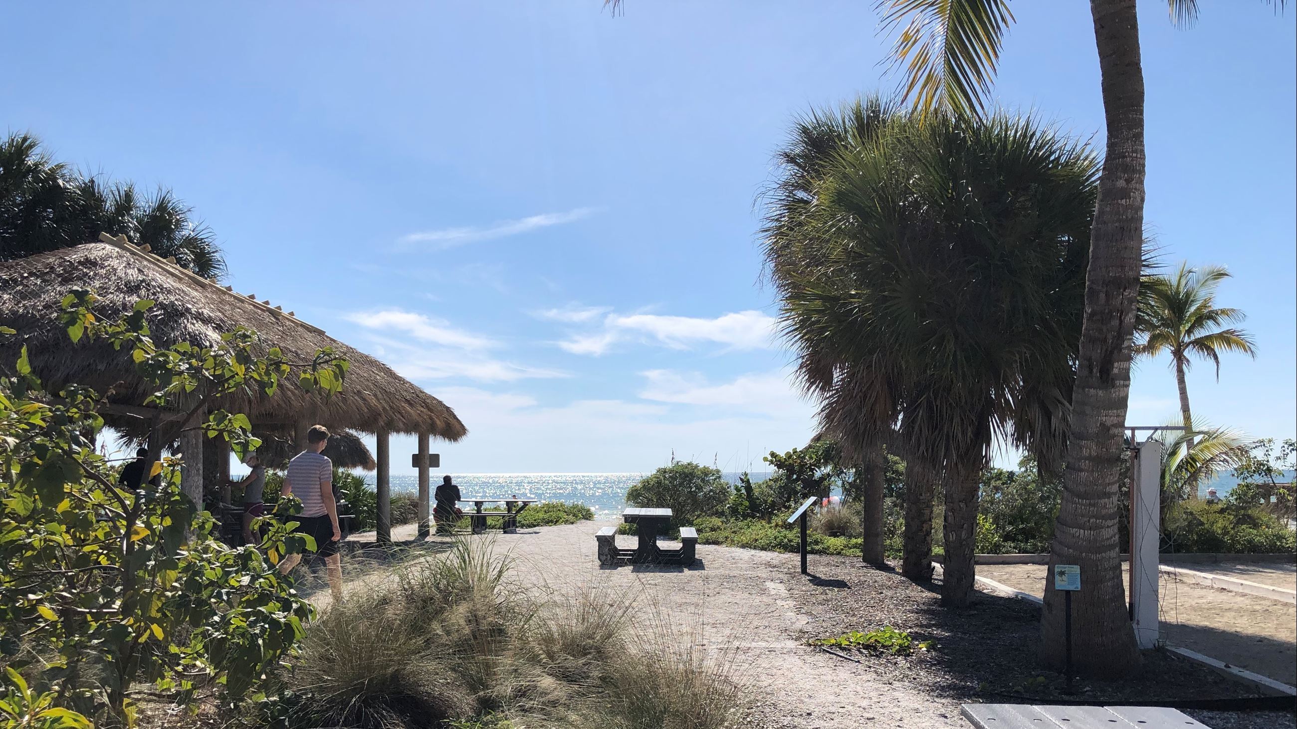 Newton Beach Park  (23)