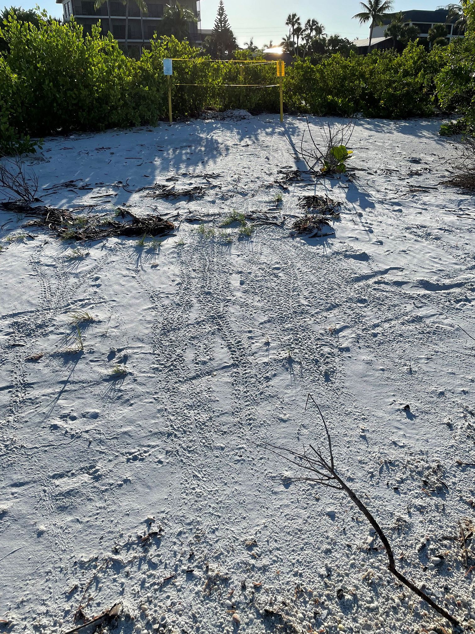 FMB_N 3 hatched2 (1)