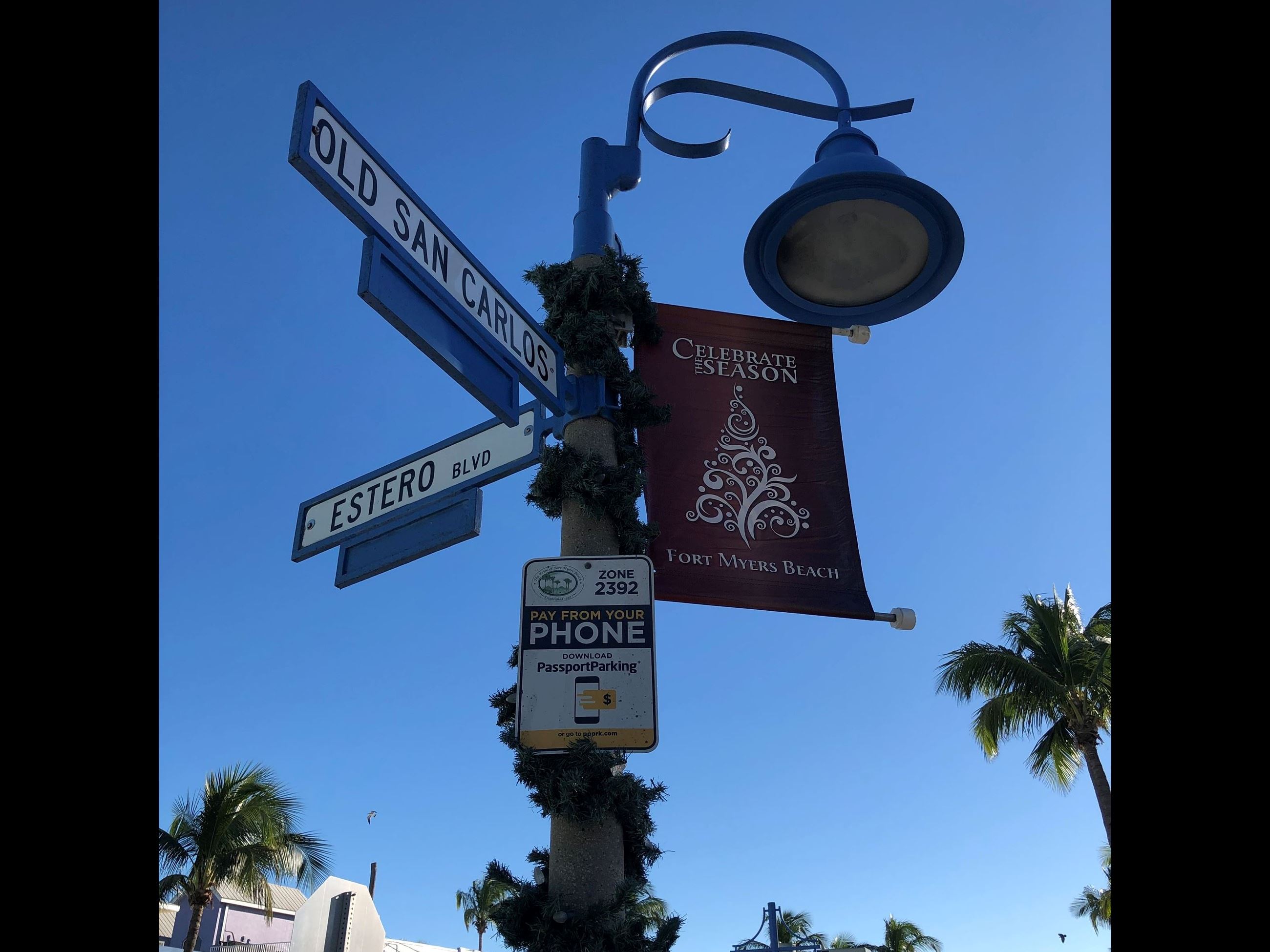 poinsetta tree times square dec 2020 (38)