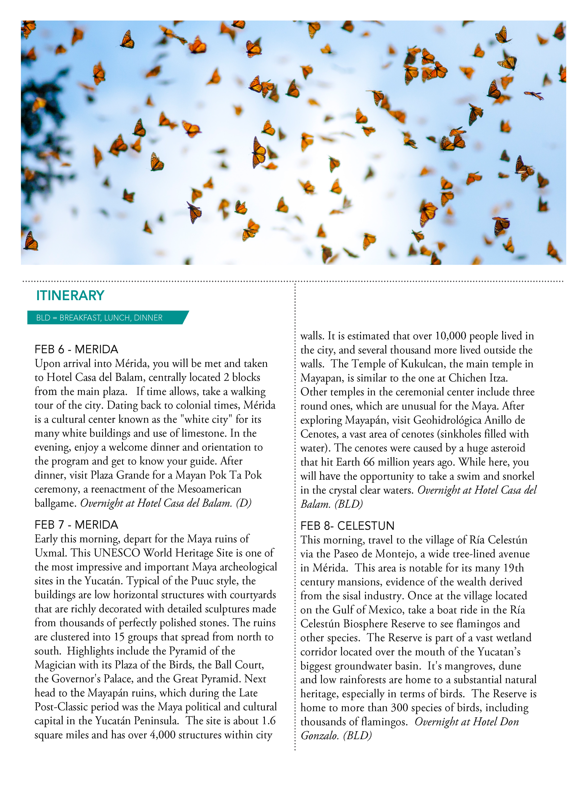 Mexico Trip Flyer Penny Jarrett 2022_Page_2